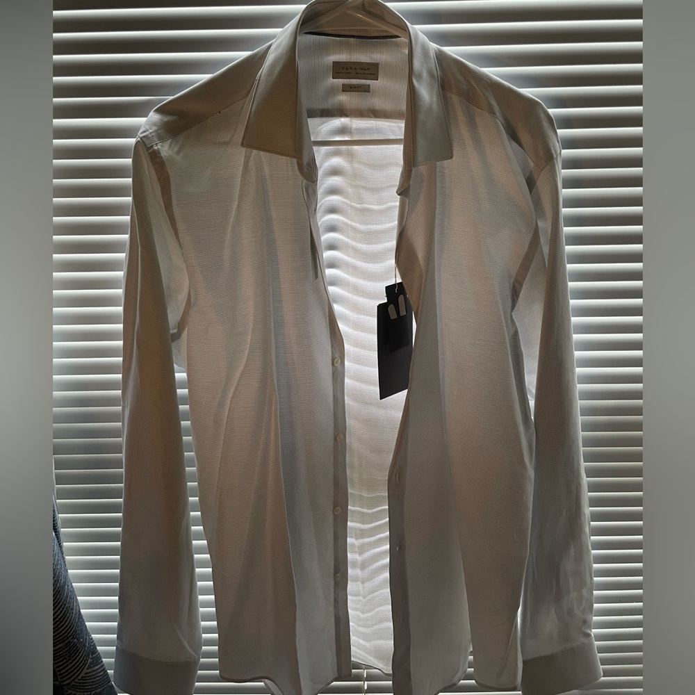 Zara dress shirt. Light grey/white